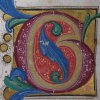incunaboli per sito web 010